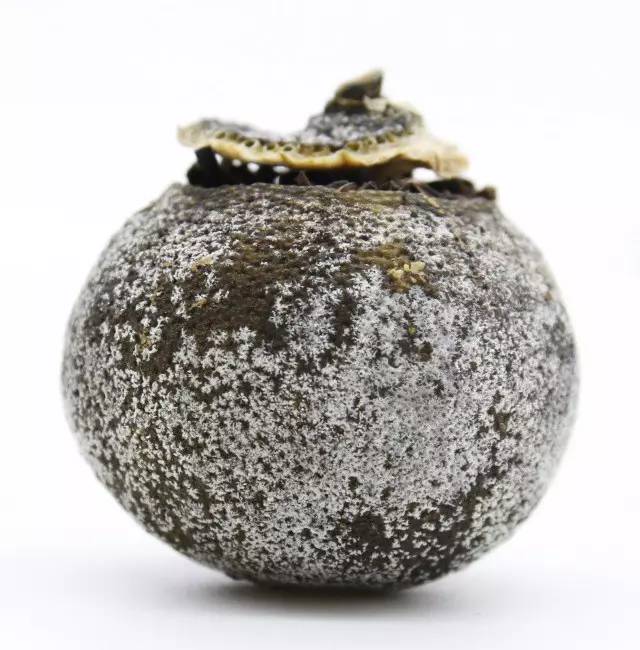 柑普學(xué)堂 · 第11講 |小青柑到底是發(fā)霉還是白霜？