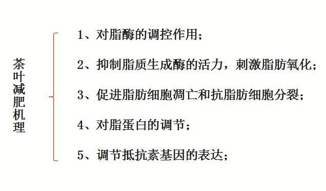 茶葉學(xué)堂 · 第2講︱管住嘴、邁開腿、喝茶水！